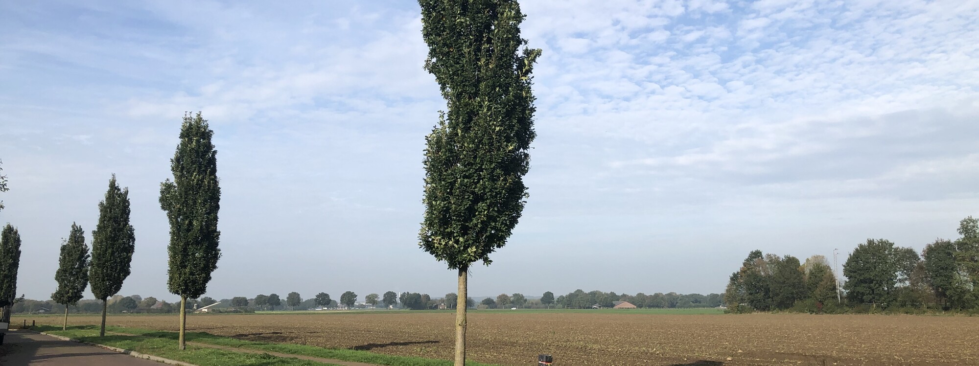 Hoenderpark Ottersum